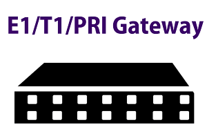 PRI-Gateway-muscat-oman